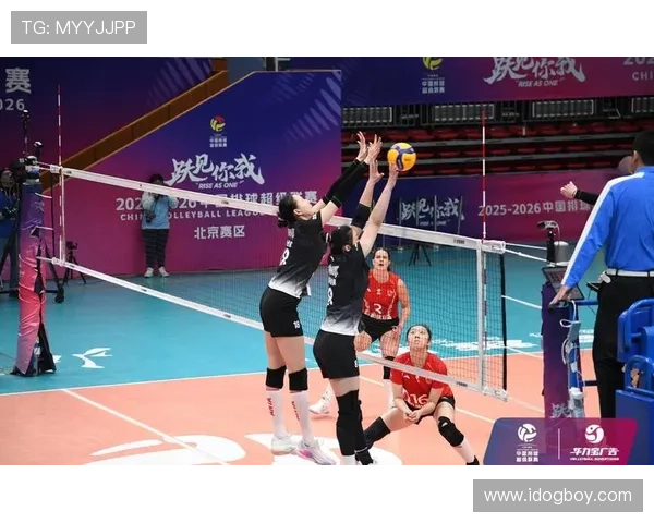 体育频道算女排联赛（体育频道5在线直播女排）sports