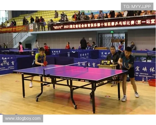 国际体育乒乓球联赛（国际乒乓球联盟）sports